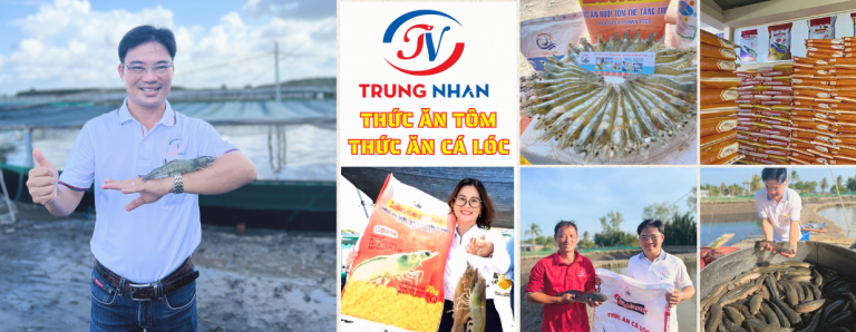 THỨC ĂN TÔM - THỨC ĂN CÁ LÓC